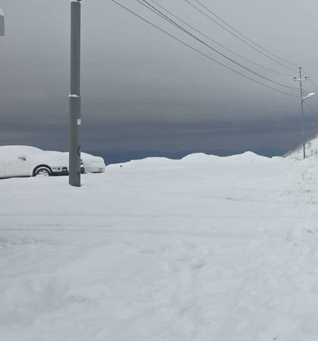 بارش ۱۷ سانتی‌متری برف، این منطقه مرزی را کاملاً سفیدپوش کرد | تصاویر