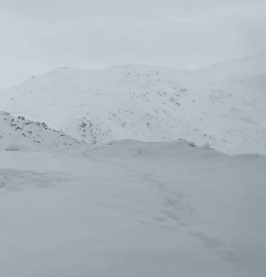 بارش ۱۷ سانتی‌متری برف، این منطقه مرزی را کاملاً سفیدپوش کرد | تصاویر