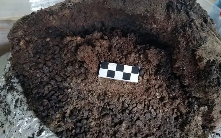 یافتن کوزههای «لوبیا» در اتاق مخصوص بردگان در ویلای ۲ هزار ساله | عکس