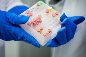 این دارو، حافظه چربی‌ها را پاک می‌کند! | کشف کلید گمشده کاهش وزن در تنظیم نقاط بیولوژیک