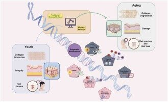 پایان عصر جراحی‌های پلاستیک و بوتاکس با تکنولوژی «بازنویسی سلولی»