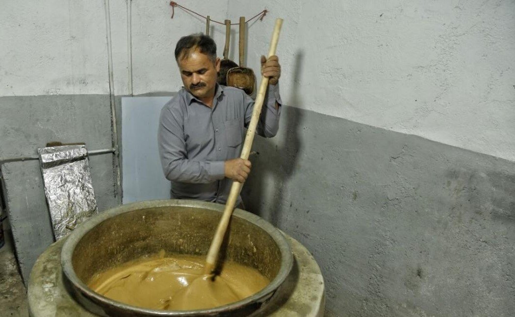 داستان شکر لوله شمالی ها | امروز به جشنواره یک روزه سیاه شکر صومعه سرا دعوتید!