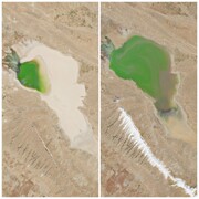 دریاچه مهارلو دوباره خندید 