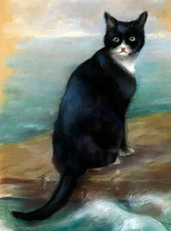 مشهورترین گربه‌های تاریخ؛ از گربه ملوان تا گربه اینترنتی | عکس