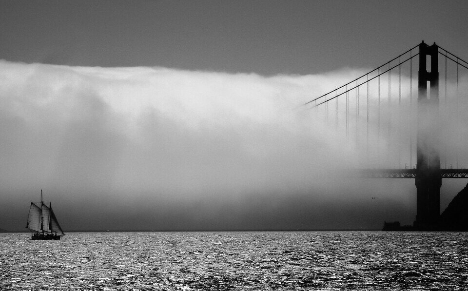 گزیده‌ای از برترین‌ عکس های سیاه و سفید در مسابقه جهانی فتوکراود