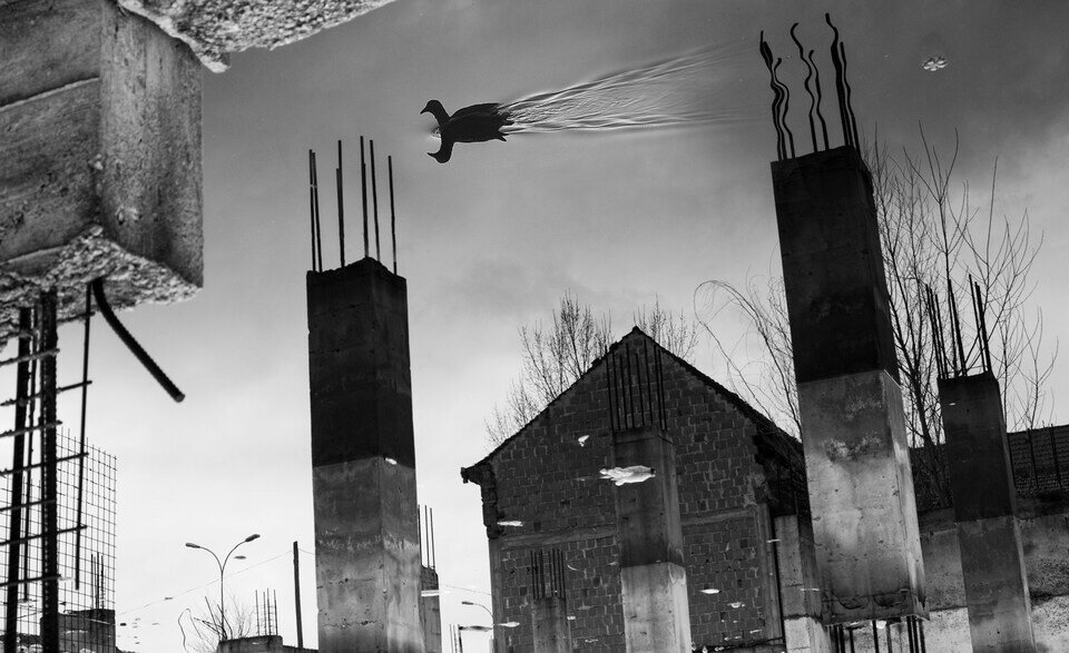 گزیدهای از برترین عکس های سیاه و سفید در مسابقه جهانی فتوکراود