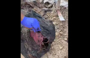 پیکرهای بدون سر از زیر شن‌ خارج شد! + ویدئو | تلخ ترین تصاویر از لحظه خروج اجساد