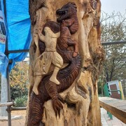 جان دوباره برای درختان بی‌جان