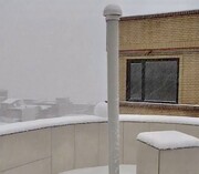 آغاز بارش برف شدید در این شهر ایران؛ لحظات سفید شدن شهر در برف و کولاک را ببینید