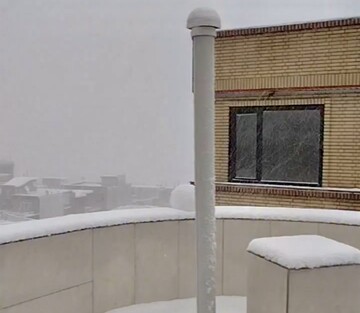 آغاز بارش برف شدید در این شهر ایران؛ لحظات سفید شدن شهر در برف و کولاک را ببینید