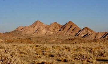 ثبت کم‌نظیر این حیوان کمیاب با صورت خون‌آلود در ایران؛ احتمالا این تصاویر لحظاتی پس از شکار ثبت شده