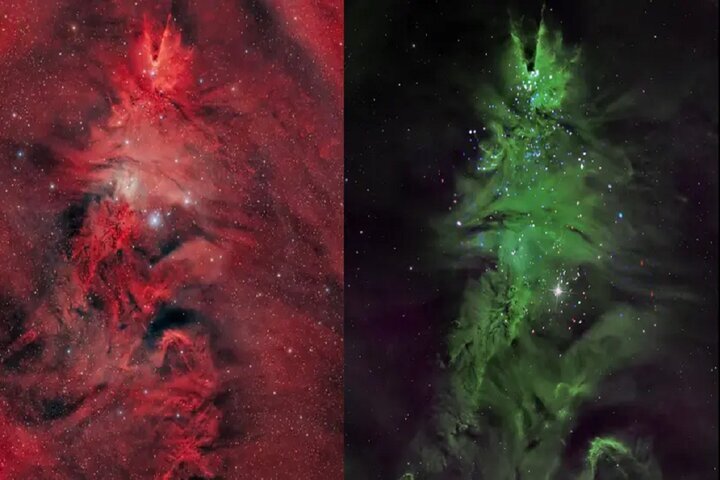 درخشش درخت کریسمس در فضا | عکس