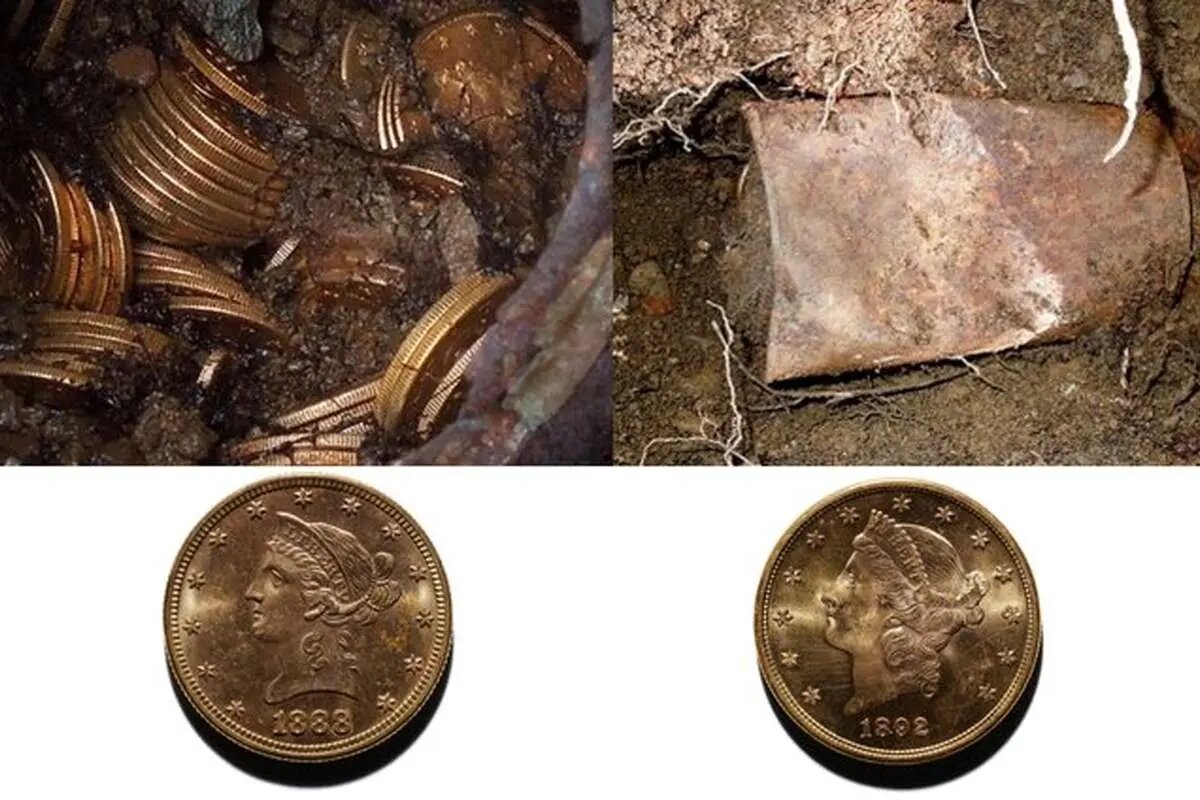 زوج خوش‌شانس یکی از بزرگ‌ترین گنجینه‌های طلا را پیدا کردند | عکس