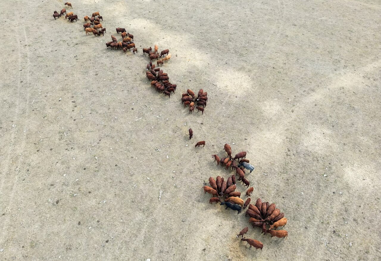 کلیکهای طلایی رویترز در سال ۲۰۲۵ میلادی