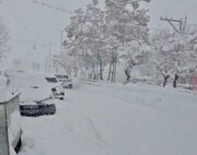 بارش شدید برف در این منطقه مردم را خوشحال کرد؛ سفید پوش شدن این شهر زیبا را ببینید