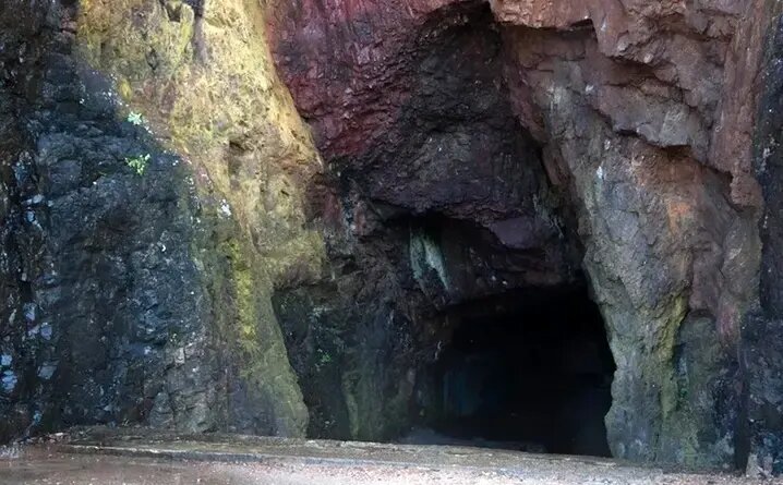 کشف نقاشیهای ۱۷ هزار ساله توسط یک سگ | عکس