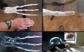 اسرار پنجانگشت انسان | چرا دستوپای ما دقیقاً پنجانگشت دارد؟