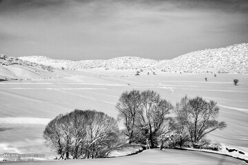 موج بارشی عصر امروز وارد می شود | هشدار برای بارش برف و باران | دریای شمال و جنوب متلاطم است