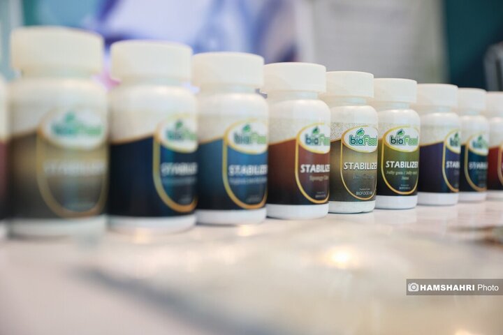 دومین رویداد ملی رعنا برگزار شد