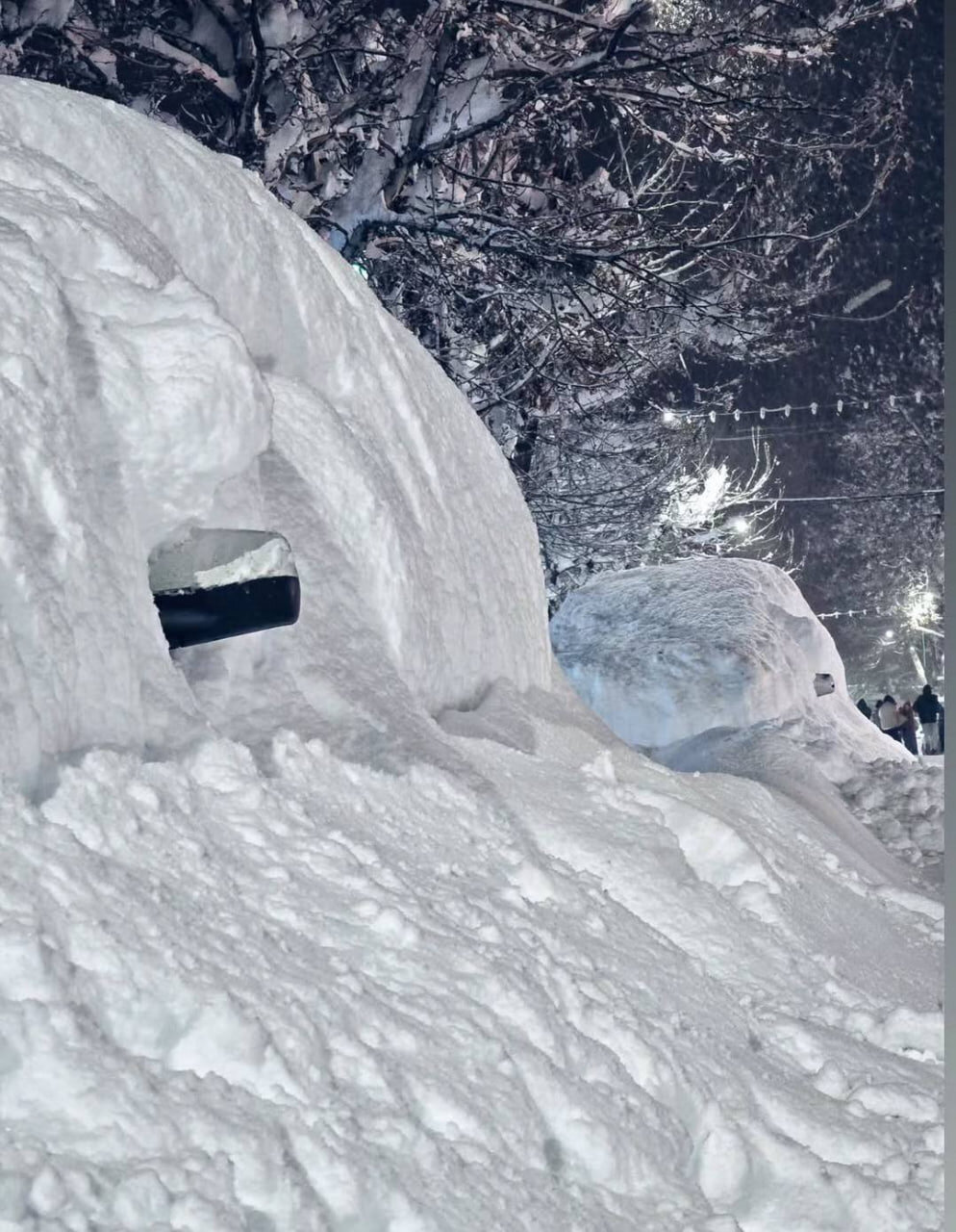 بارش برف ۷۰ سانتیمتری در فریدونشهر | تصاویر