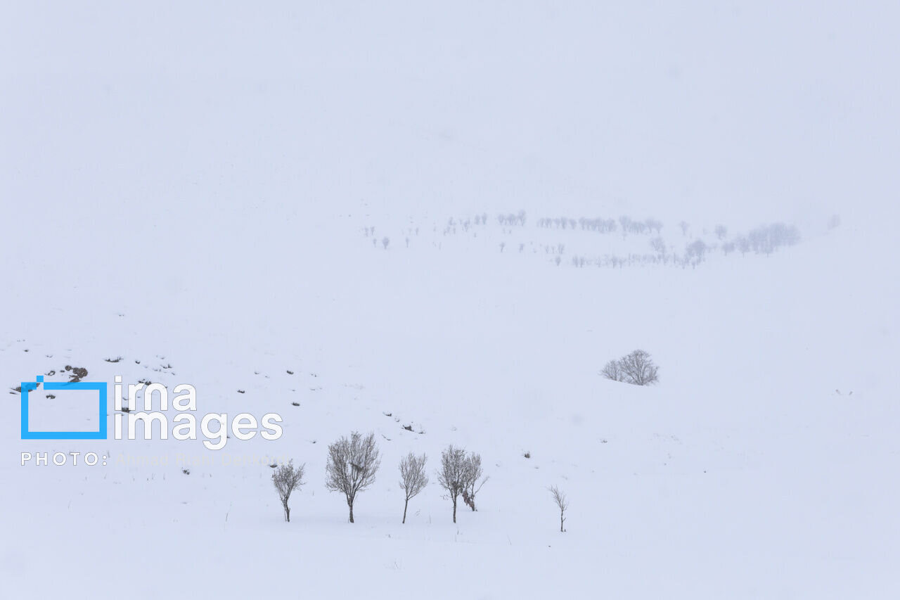 چهره ایران برفی و خوشحالی مردم + عکس و فیلم