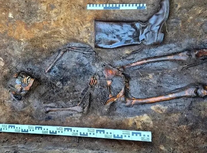 رازگشایی از معمای ۸۰ ساله در جنگل! | عکس