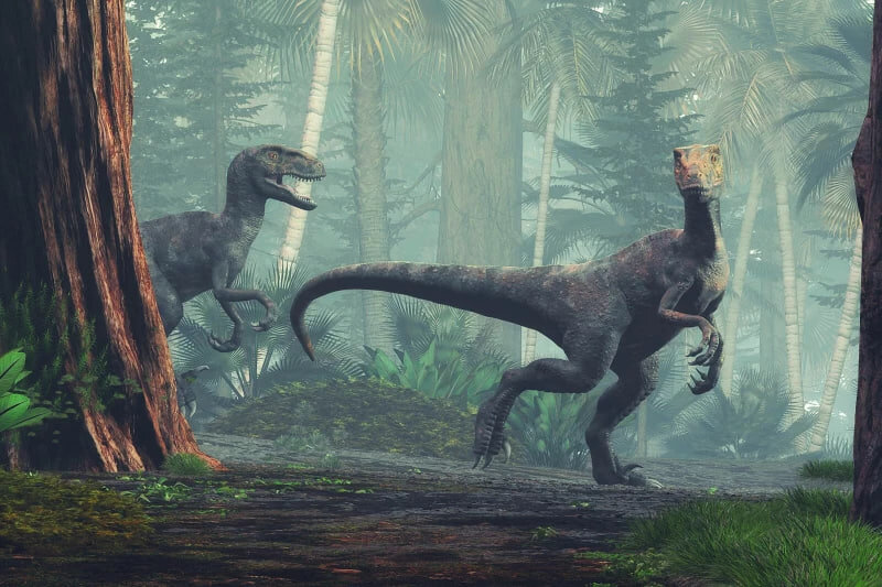 5295833.jpg?ts=1767084671000