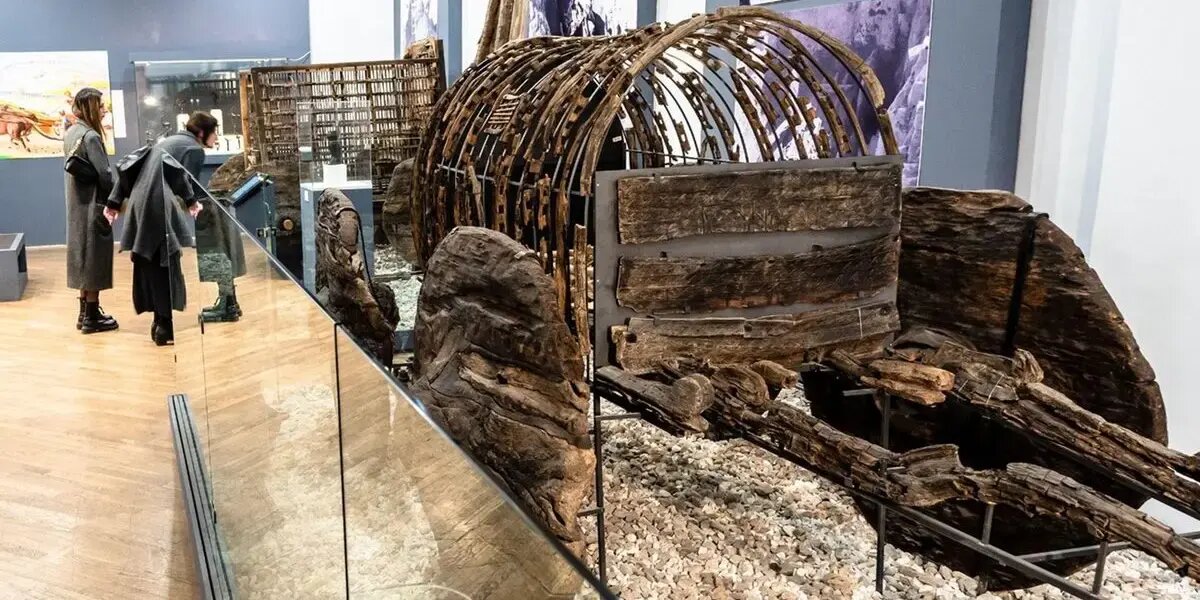 ارّابهای برای سفر به جهان آخرت! | عکس