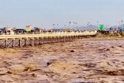 سیلاب‌های عظیم از افغانستان به سوی ایران راه افتاد؛ هامون پر آب می‌شود؟