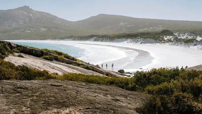 نامه سرباز کشته شده پس از ۱۰۹ سال در بطری پیدا شد | عکس