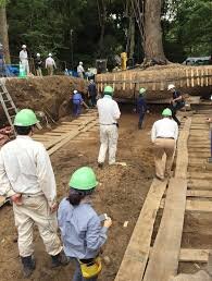 اسرار جابه جایی درختان چند صد تنی | عملیات غیرممکن در قلب ژاپن