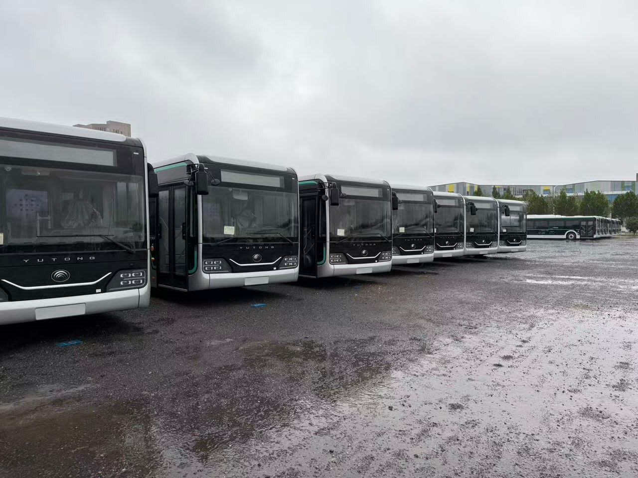 5296501.jpg?ts=1767193291000