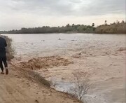 لحظه شکسته شدن سیل بند و زیر آب رفتن زمین‌های کشاورزی مردم این منطقه