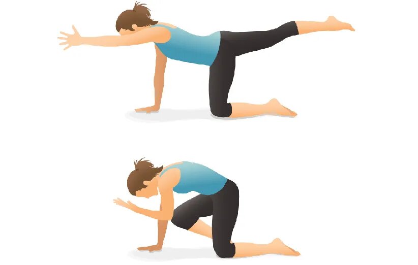 از درد کمر تا تعادل بهتر؛ نقش حیاتی عضلات میان تنه | ۴ ورزش ساده برای تقویت میان تنه در خانه