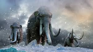 نخستین نفسهای ماموت در عصر دیجیتال | پایان سلطه مرگ بر گونههای منقرض شده!