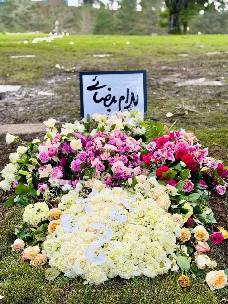 قاب خاص از مزار بهرام بیضایی | عکس