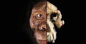 کشف اسرار ۷ میلیونساله | این فسیل میتواند تاریخ انسان را بازنویسی کند