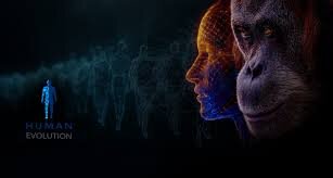 کشف اسرار ۷ میلیونساله | این فسیل میتواند تاریخ انسان را بازنویسی کند