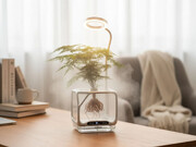 شیشه افشاگر ضدسیگار