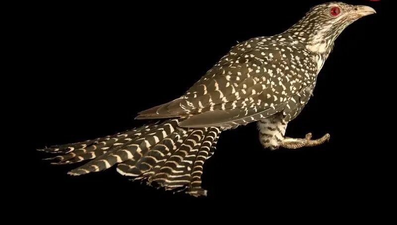 5298358.jpg?ts=1767681391000