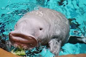 5298433.jpg?ts=1767685432000