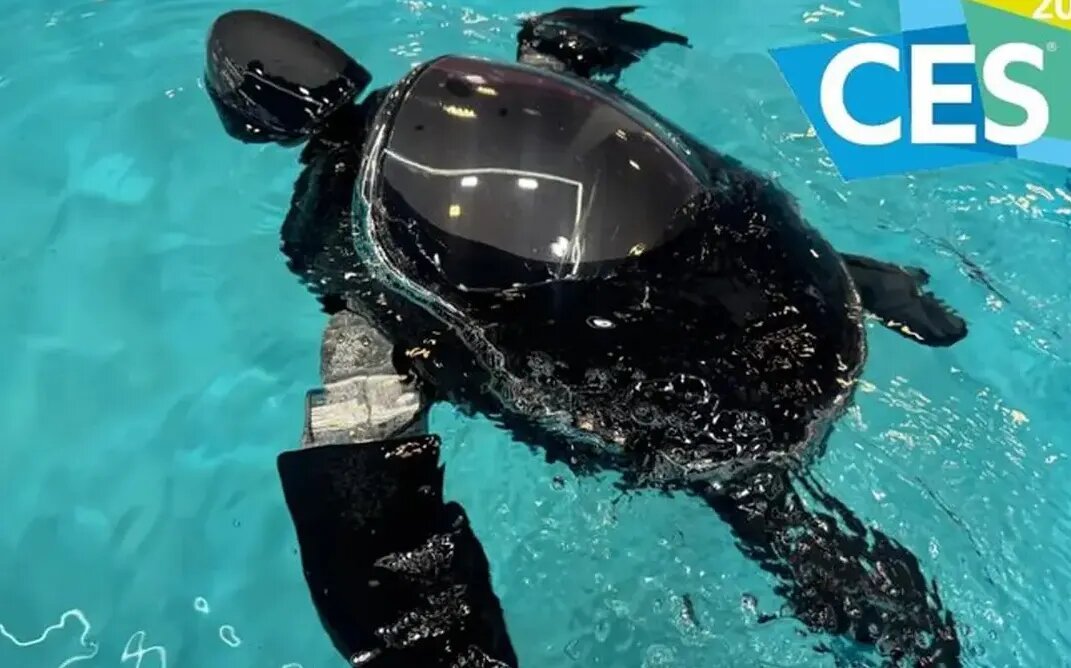 لاک‌پشت رباتیک