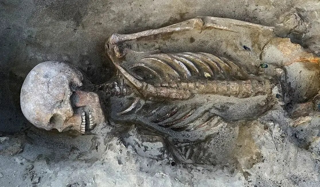 گنجینه طلایی