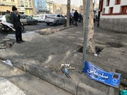 ۳۹۶ درخت پایتخت در جریان آشوب‌های اخیر آسیب دیدند