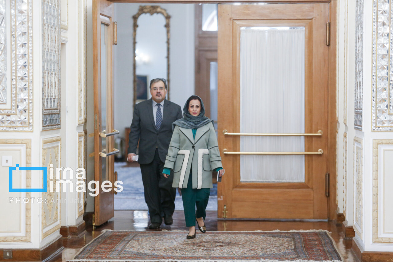 میهمانان خارجی در نشست عراقچی | تصاویر