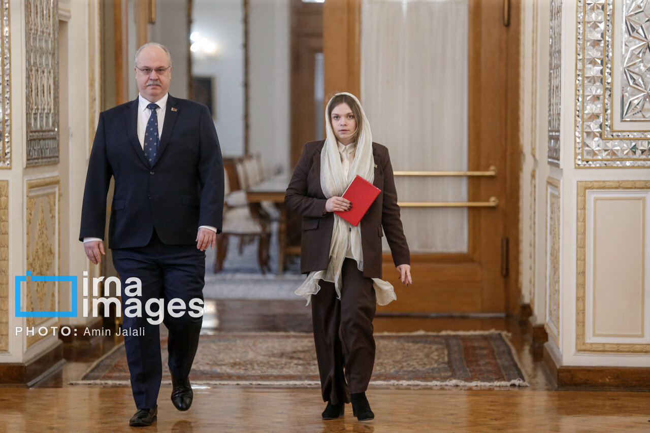 میهمانان خارجی در نشست عراقچی | تصاویر