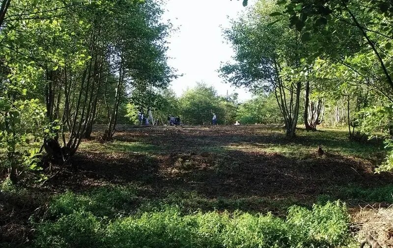 بقایای ۴ هزار سالۀ «ارزن» در یک تپۀ باستانی | عکس