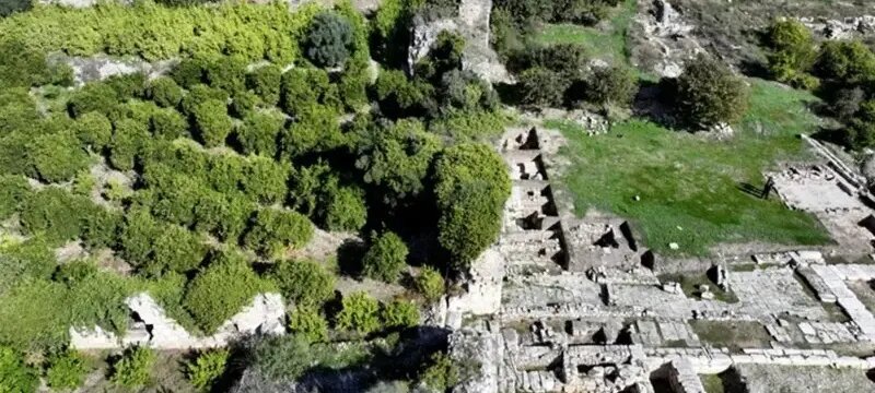 کشف «ال‌دورادو» واقعی در قلب آمازون؛ شهری عظیم که زیر درختان مخفی شده بود!