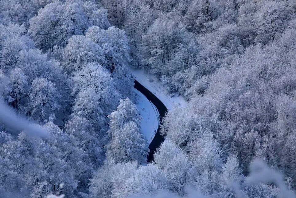 تصاویری زیبا از برف در جاده چالوس و فیروزکوه | سوادکوه بازهم عروس شد