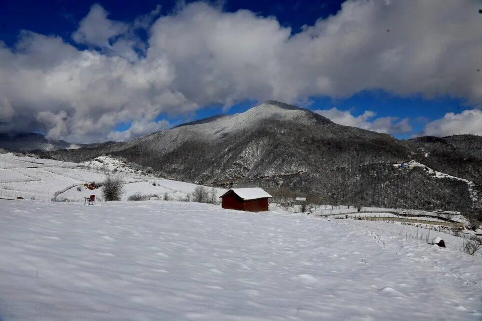 تصاویری زیبا از برف در جاده چالوس و فیروزکوه | سوادکوه بازهم عروس شد